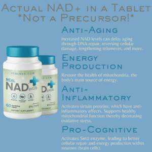 NAD | fountain of youth | detox support | anti-aging