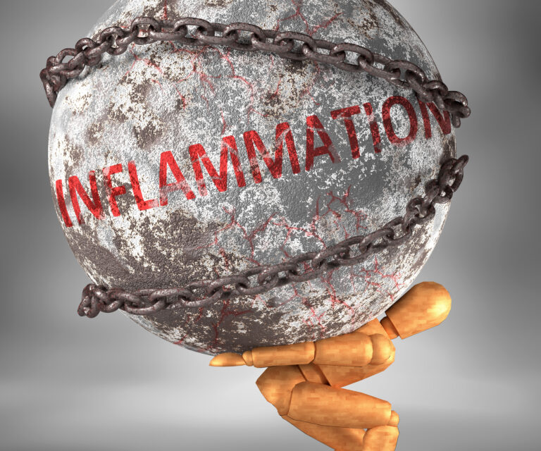 Illustration of inflammation inside the human body, symbolizing the immune response and its role in chronic illness.