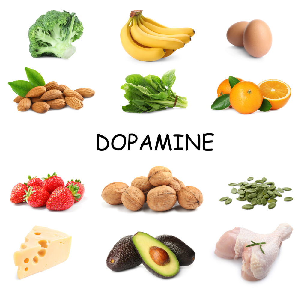 tyrosine rich foods dopamine
